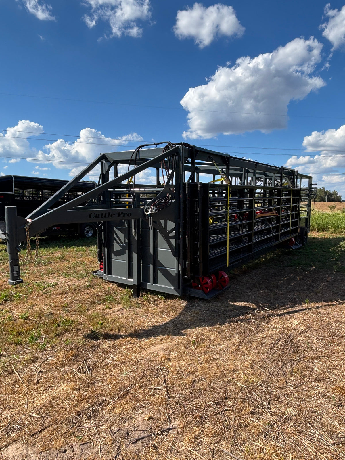 CattlePro Portable Corral